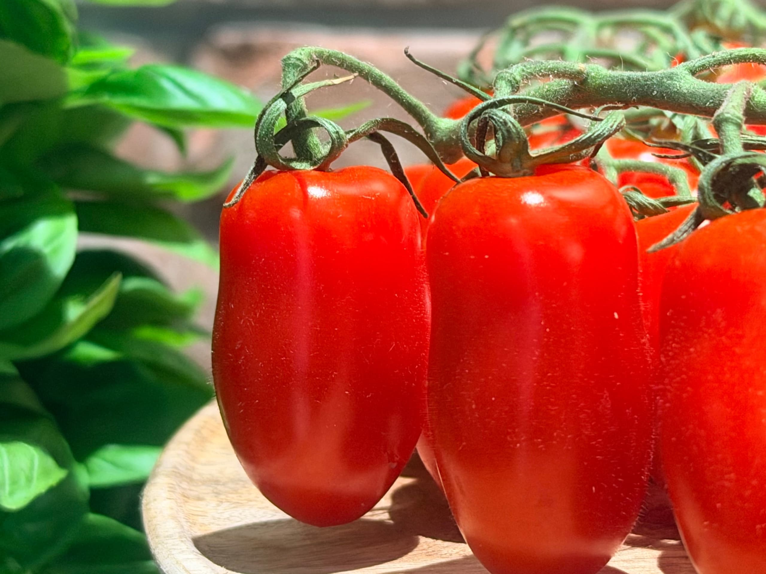 Pomidory San Marzano DOP